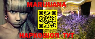 PSILOCYBIN Гай