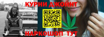 крисы Гатчина