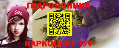 крисы Гатчина
